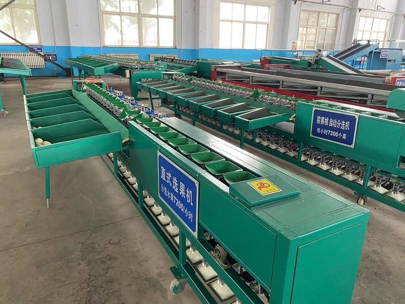 apple sorting machines