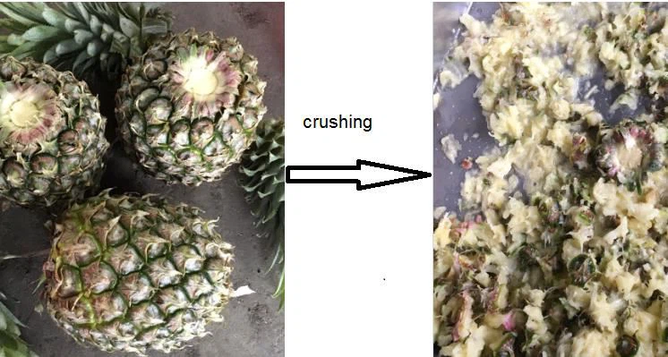 pomegranate crushing machine