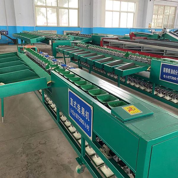 Electronic Weight Sorting Machine