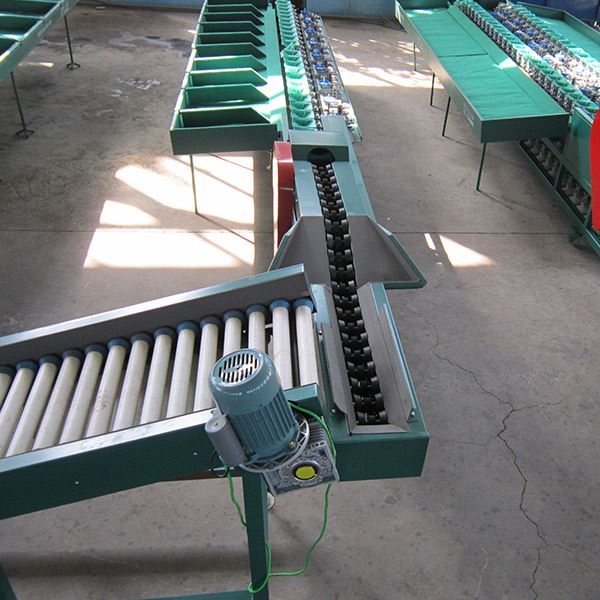 Electronic Weight Sorting Machine