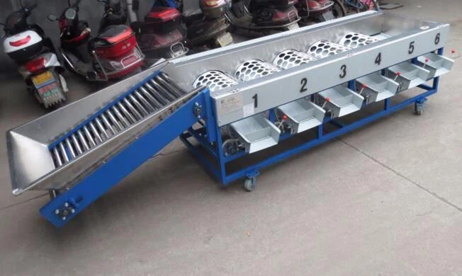 Pomegranate Grading Machine