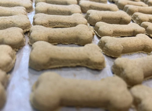 Pet Treats Food Hard Soft Biscuits Making Machine