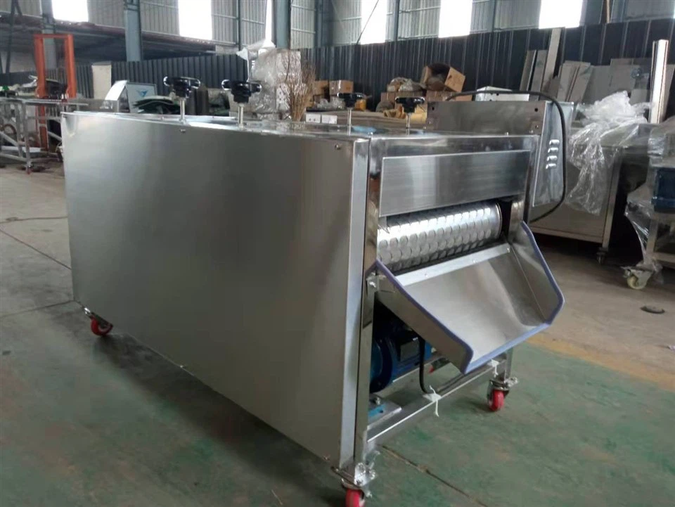 Automatic Mushroom Root Cutter factory