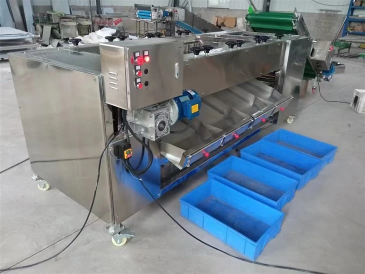 Automatic Roller Type Fruit Sorting Machine