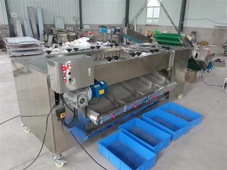 Automatic Roller Type Fruit Sorting Machine