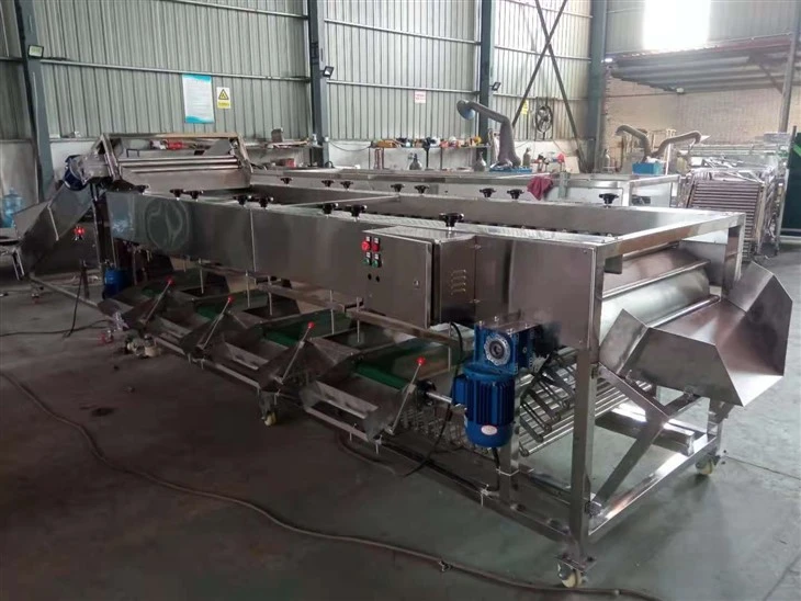 Automatic Roller Type Fruit Sorting Machine
