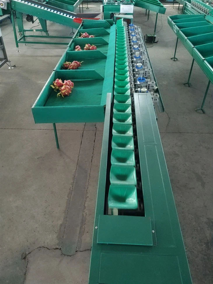 Avocado Dragon Fruit Sorting Machine price