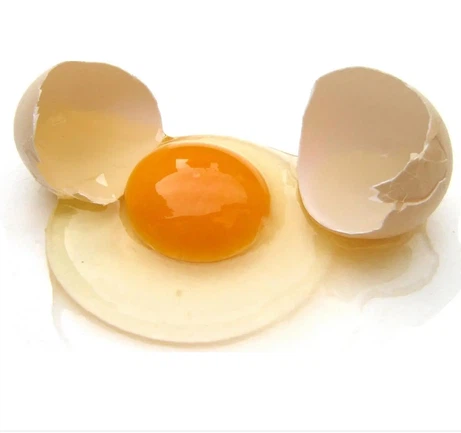 egg2 egg2
