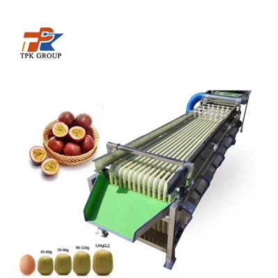 Kivi augļu šķirošanas mašīna