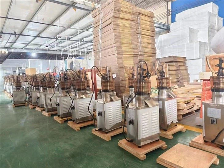 Stainless Steel Cold Press Juicer Machine